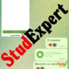 StudExpert Company відгуки клієнтів StudExpert Company відгуки клієнтів