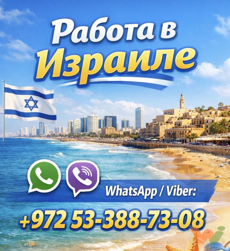 17676300461-1 17676300461-1