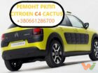 citroen-c4-cactus КАКТУС.1