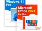 win11
