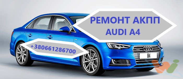 audi-a4 РЕМОНТ audi-a4 РЕМОНТ